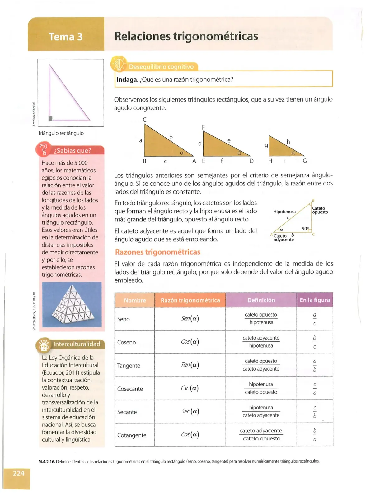 Página 224 de Matematica · 10 EGB · 2025