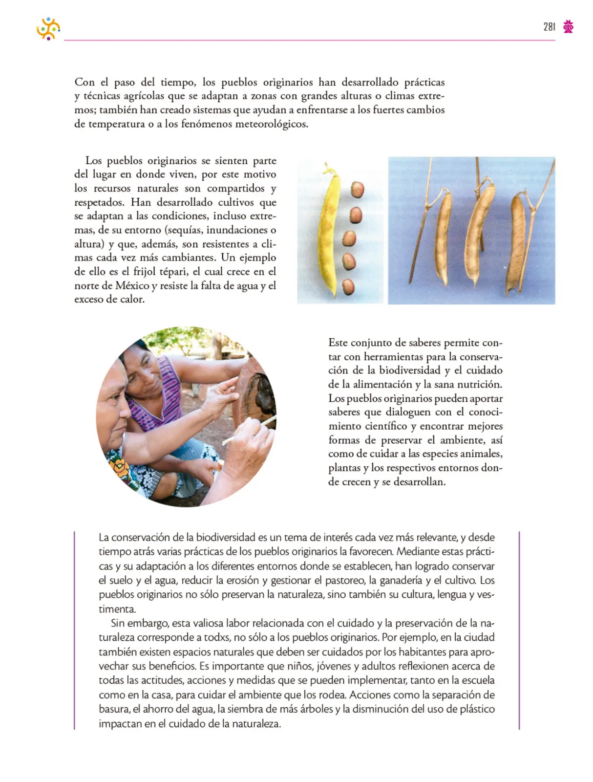 Página 282 de Colección Ximhai. Saberes y pensamiento científico. Libro de Educación Secundaria Grado 1° Ciclo Escolar 2025 - 2026