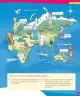 Miniatura página 78 de Historia, Geografía y Ciencias Sociales – Tercero Básico | Texto del Estudiante MINEDUC – Descargar PDF · 2024