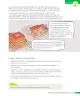 Miniatura página 214 de Historia, Geografía y Ciencias Sociales – Tercero Básico | Texto del Estudiante MINEDUC – Descargar PDF · 2024