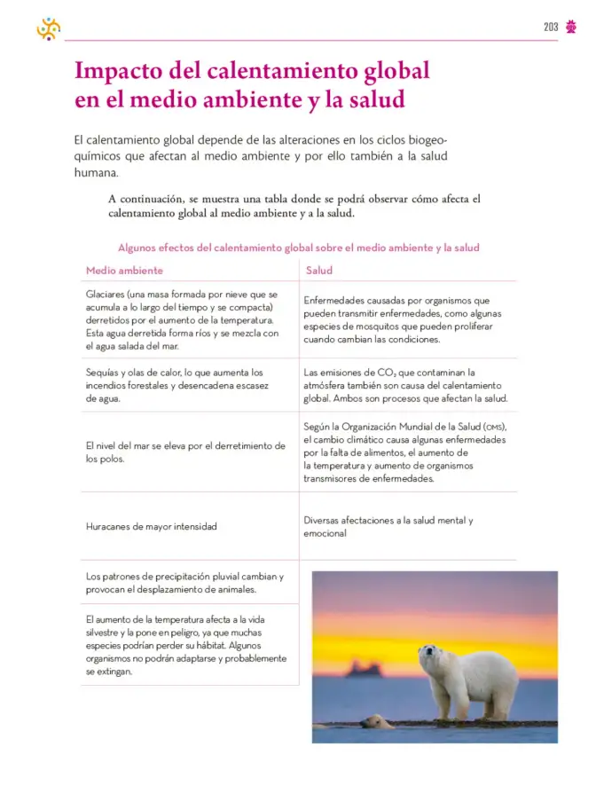Página 204 de Colección Ximhai. Saberes y pensamiento científico. Libro de Educación Secundaria Grado 1° Ciclo Escolar 2025 - 2026