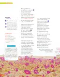 Miniatura página 217 de Lenguaje y Comunicación – Sexto Básico | Texto del Estudiante MINEDUC – Descargar PDF · 2024
