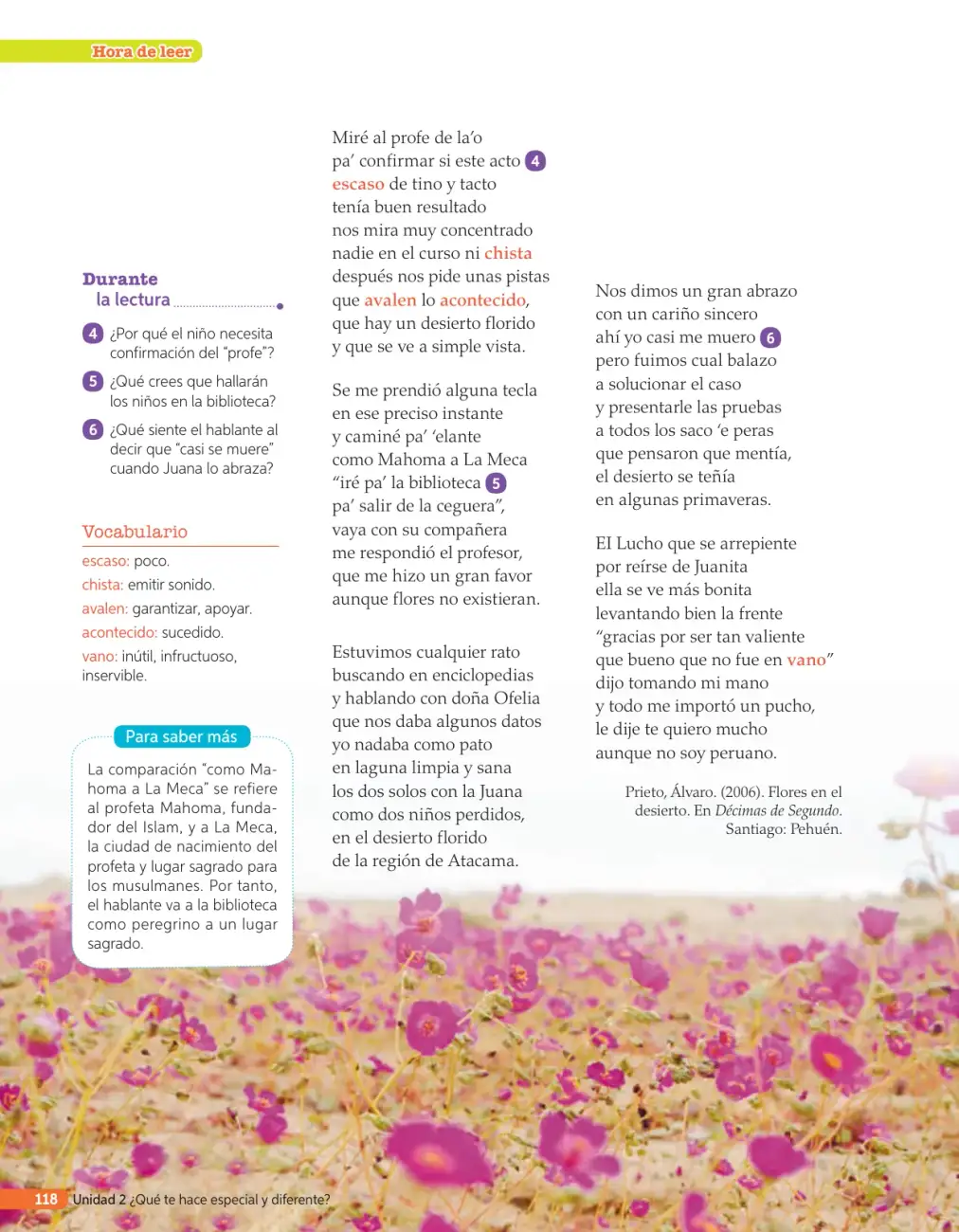 Página 217
