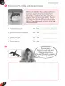 Miniatura página 32 de Inglés – Quinto Básico | Cuaderno de Actividades MINEDUC – Descargar PDF · 2023