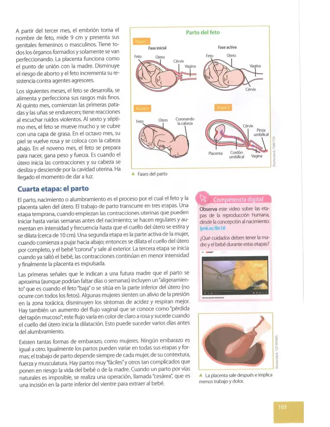 Página 162 de Ciencias Naturales 8° · Egb 8 Ciencias Naturales 2025 · 2025