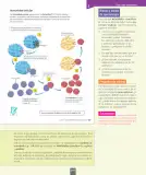Miniatura página 44 de Ciencias Naturales – Séptimo Básico | Texto del Estudiante MINEDUC – Descargar PDF · 2024