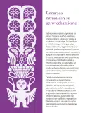 Miniatura página 280 de Colección Ximhai. Saberes y pensamiento científico.   Libro de Educación Secundaria Grado 1°  Ciclo Escolar 2025 - 2026