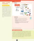 Miniatura página 55 de Ciencias Naturales – Séptimo Básico | Texto del Estudiante MINEDUC – Descargar PDF · 2024