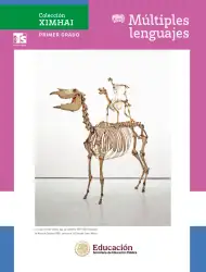 Página de Colección Ximhai. Múltiples lenguajes.   Libro de Educación Telesecundaria Grado 1°  Ciclo Escolar 2025 - 2026