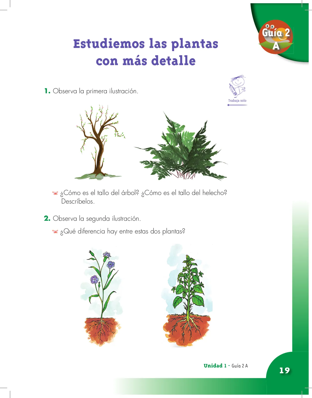 Miniatura página 19 de Ciencias Naturales 3° · Cartilla 01