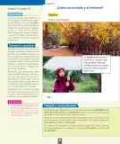Miniatura página 91 de Ciencias Naturales – Primero Básico | Texto del Estudiante (MINEDUC) – Descargar PDF · 2024