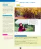 Miniatura página 91 de Ciencias Naturales – Primero Básico | Texto del Estudiante (MINEDUC) – Descargar PDF · 2024