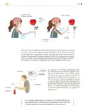 Miniatura página 304 de Colección Ximhai. Saberes y pensamiento científico.   Libro de Educación Secundaria Grado 1°  Ciclo Escolar 2025 - 2026