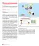 Miniatura página 24 de Sumo Primero – Quinto Básico | Texto del Estudiante MINEDUC – Descargar PDF · 2024