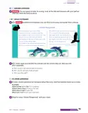 Miniatura página 101 de Inglés – Sexto Básico | Student’s Book MINEDUC – Descargar PDF · 2024