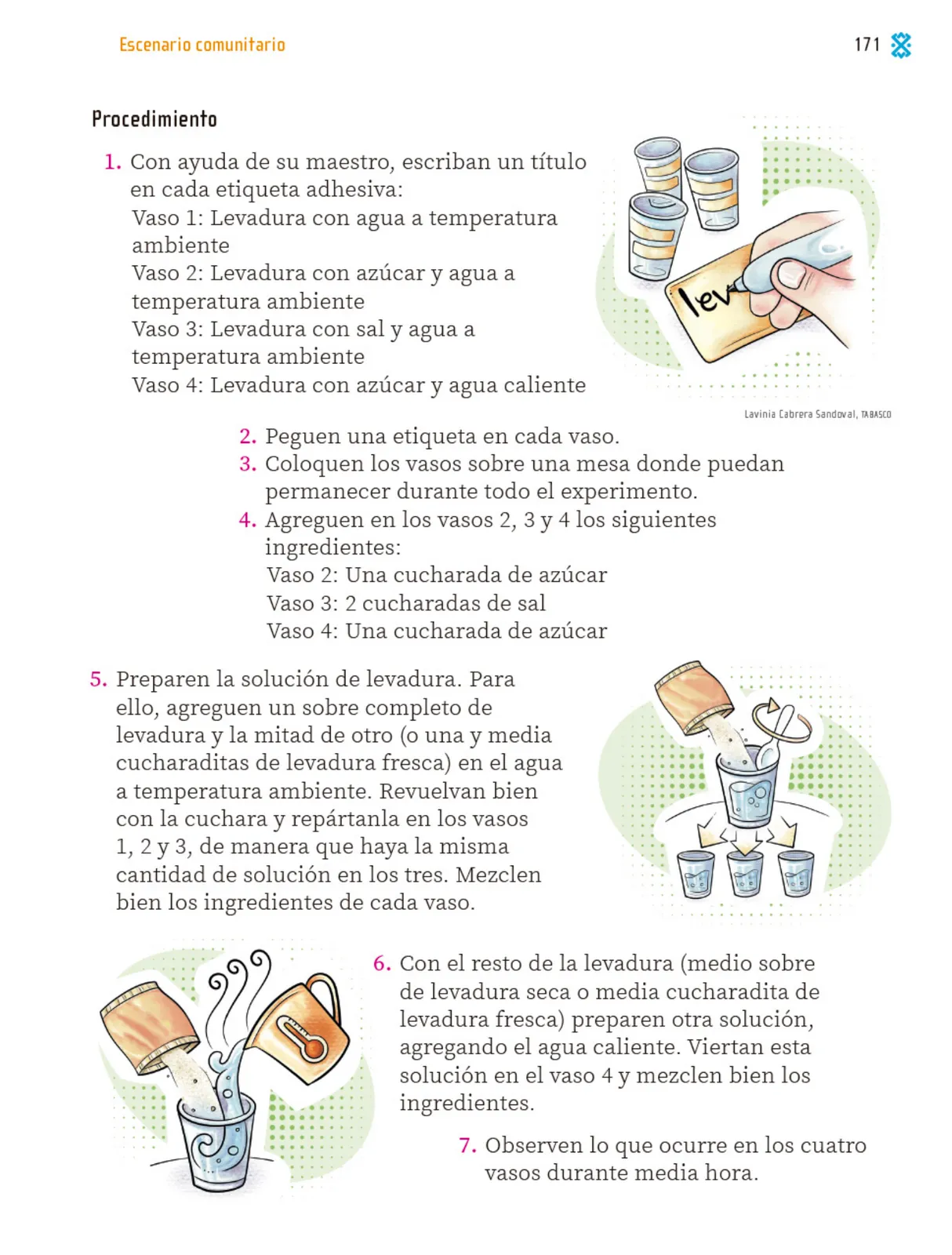 Página 172 de Proyectos Comunitarios. Libro de Educación Primaria Grado 1° Ciclo Escolar 2025 - 2026