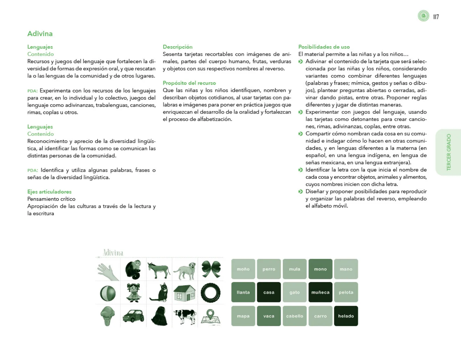 Página 118 de Posibilidades de trabajo para la acción transformadora y el codiseño. Ficheros. Fase 2 Libro de Educación Preescolar Grado 1°, 2°, 3° Ciclo Escolar 2025 - 2026