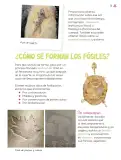 Miniatura página 74 de Múltiples lenguajes.   Libro de Educación Primaria Grado 3°  Ciclo Escolar 2025 - 2026