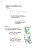 Miniatura página 23 de Proyectos de Aula.   Libro de Educación Primaria Grado 5°  Ciclo Escolar 2025 - 2026