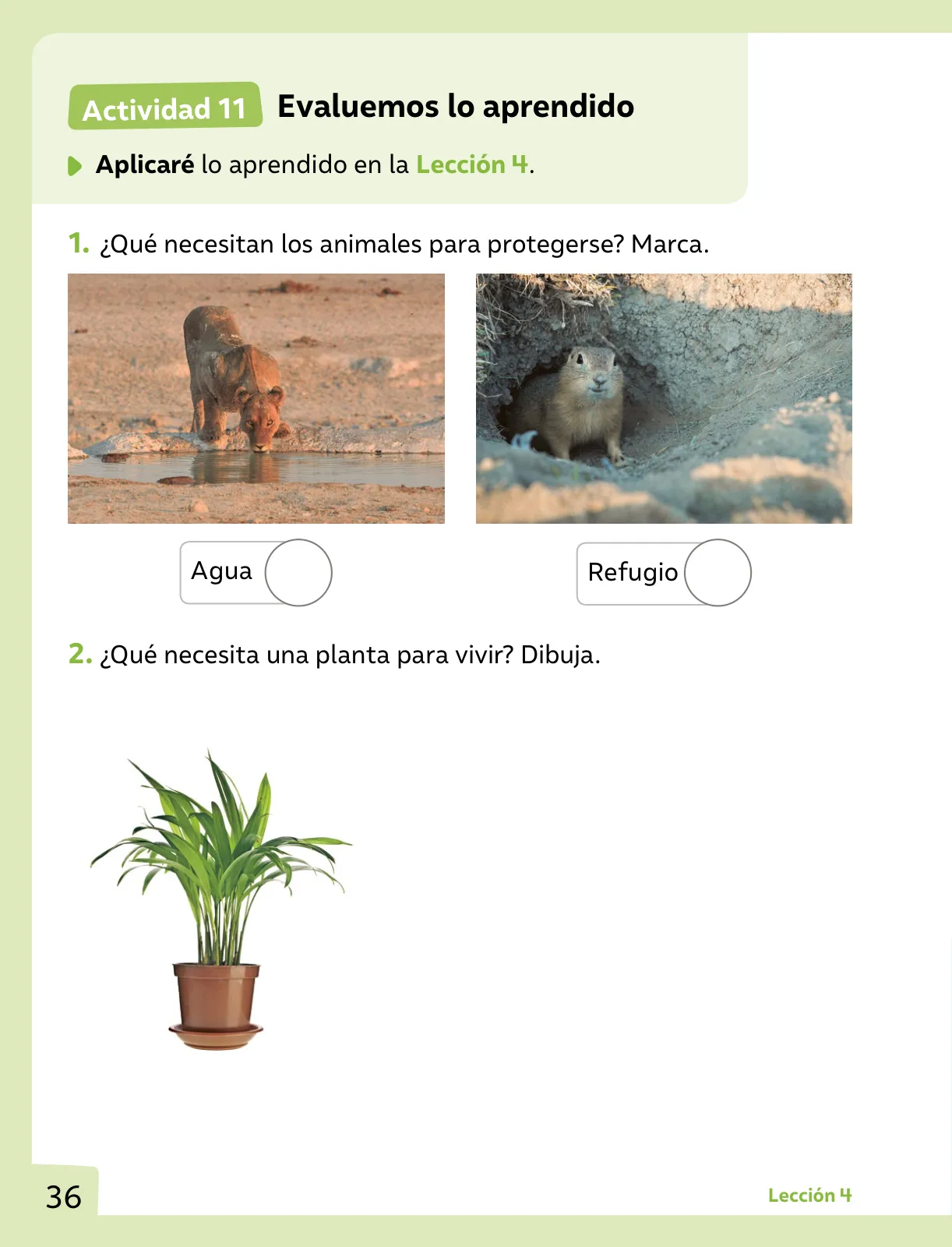 Página 37 de Ciencias Naturales – Primero Básico | Texto del Estudiante (MINEDUC) – Descargar PDF · 2024