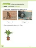 Miniatura página 37 de Ciencias Naturales – Primero Básico | Texto del Estudiante (MINEDUC) – Descargar PDF · 2024