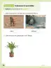 Miniatura página 37 de Ciencias Naturales – Primero Básico | Texto del Estudiante (MINEDUC) – Descargar PDF · 2024