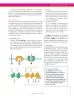 Miniatura página 29 de Ciencias Naturales 6° · Secundaria Activa