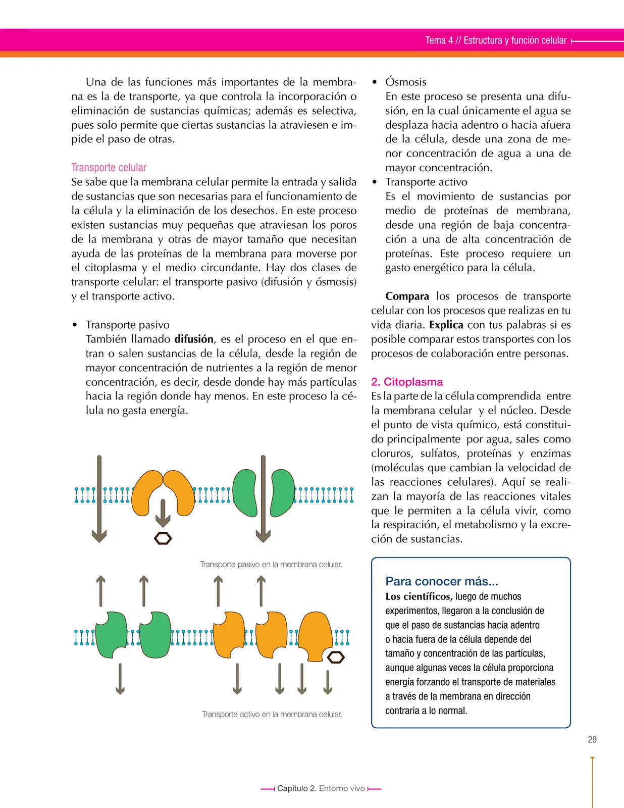 Miniatura página 29 de Ciencias Naturales 6° · Secundaria Activa