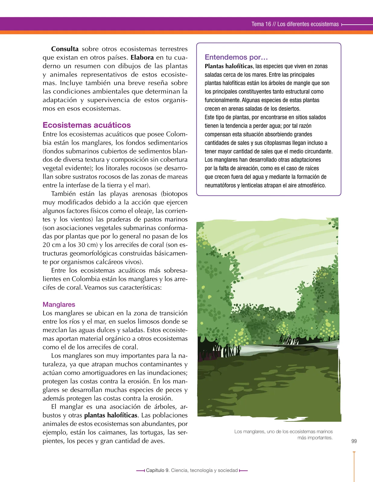Miniatura página 99 de Ciencias Naturales 6° · Secundaria Activa
