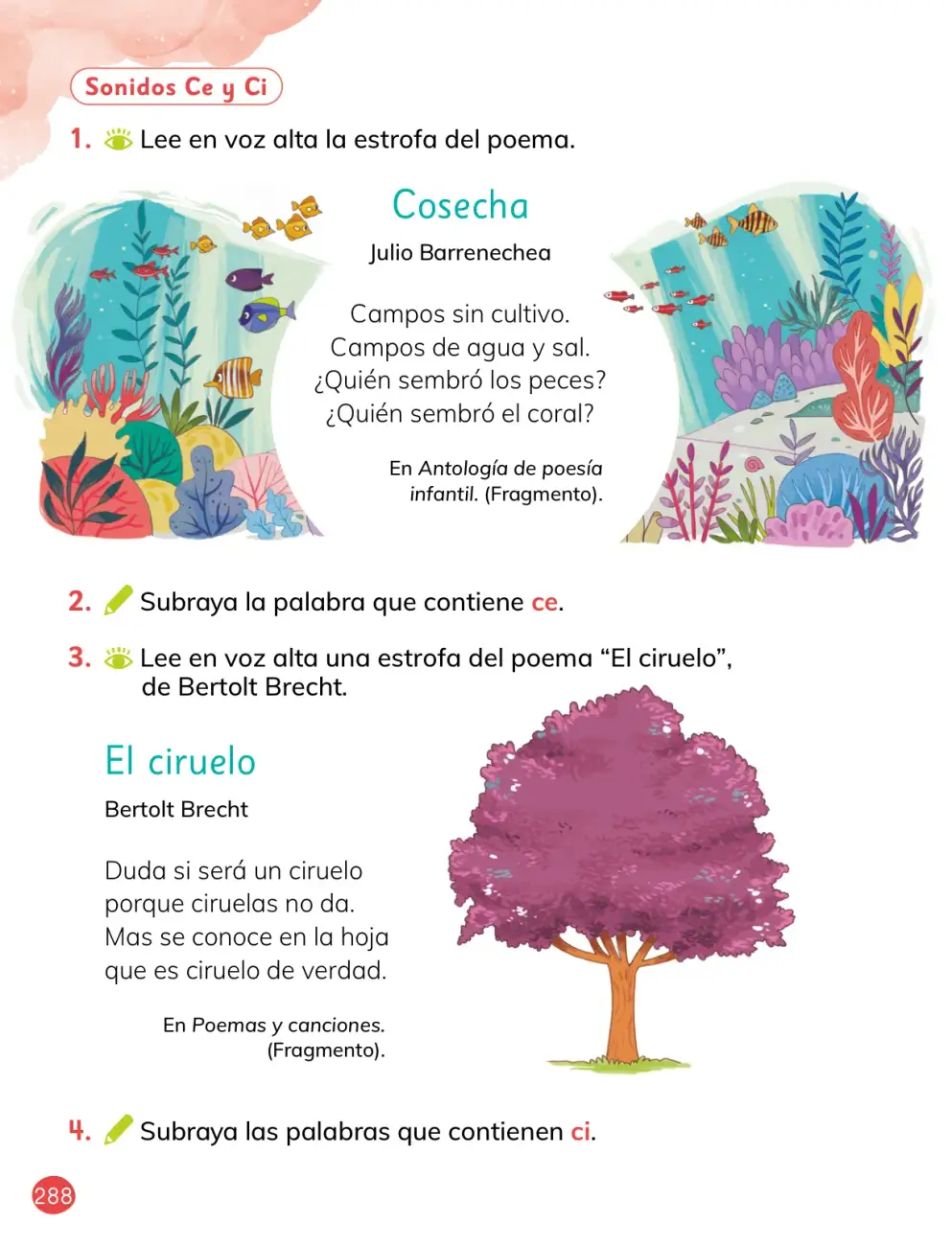 Página 18