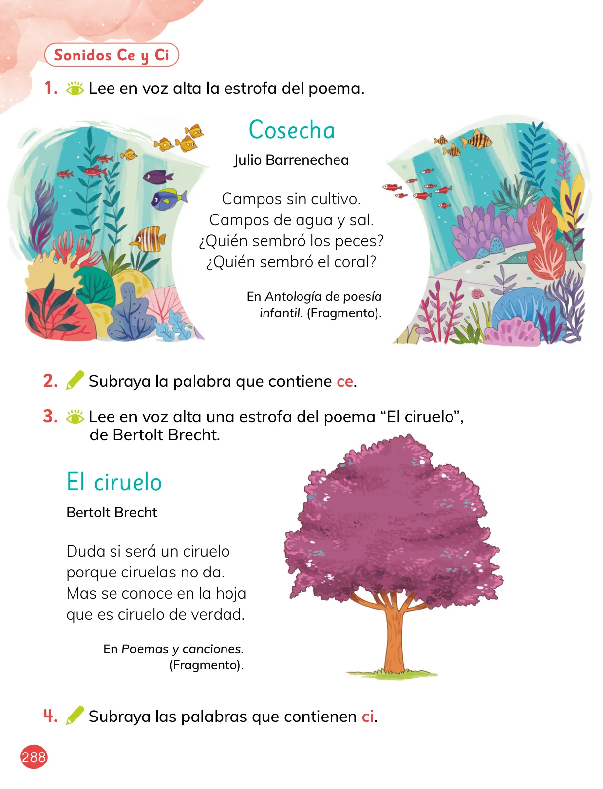 Pág 18