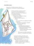 Miniatura página 244 de Proyectos de Aula.   Libro de Educación Primaria Grado 3°  Ciclo Escolar 2025 - 2026