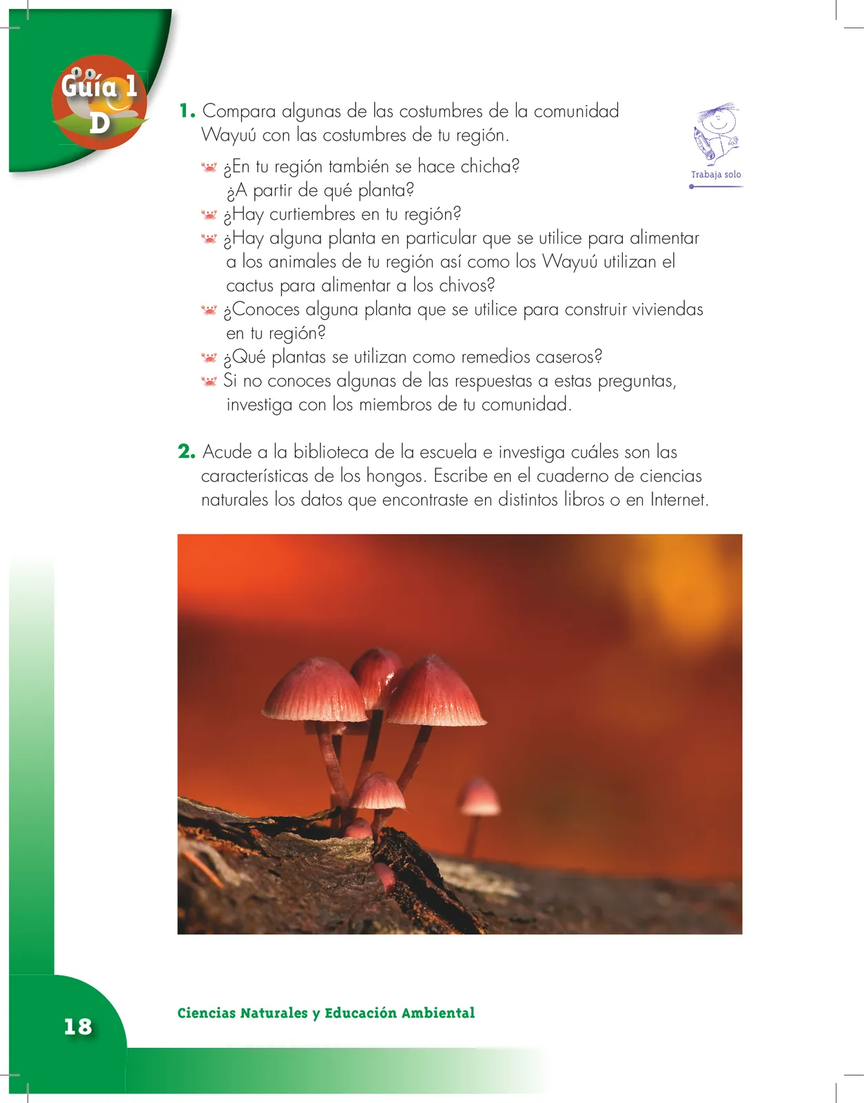 Miniatura página 18 de Ciencias Naturales 3° · Cartilla 01