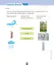 Miniatura página 110 de Ciencias Naturales – Segundo Básico | Texto del Estudiante MINEDUC – Descargar PDF · 2024