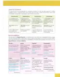 Miniatura página 241 de Lengua Y Literatura 9° · Egb 9 Lengua Y Literatura 2025 · 2025