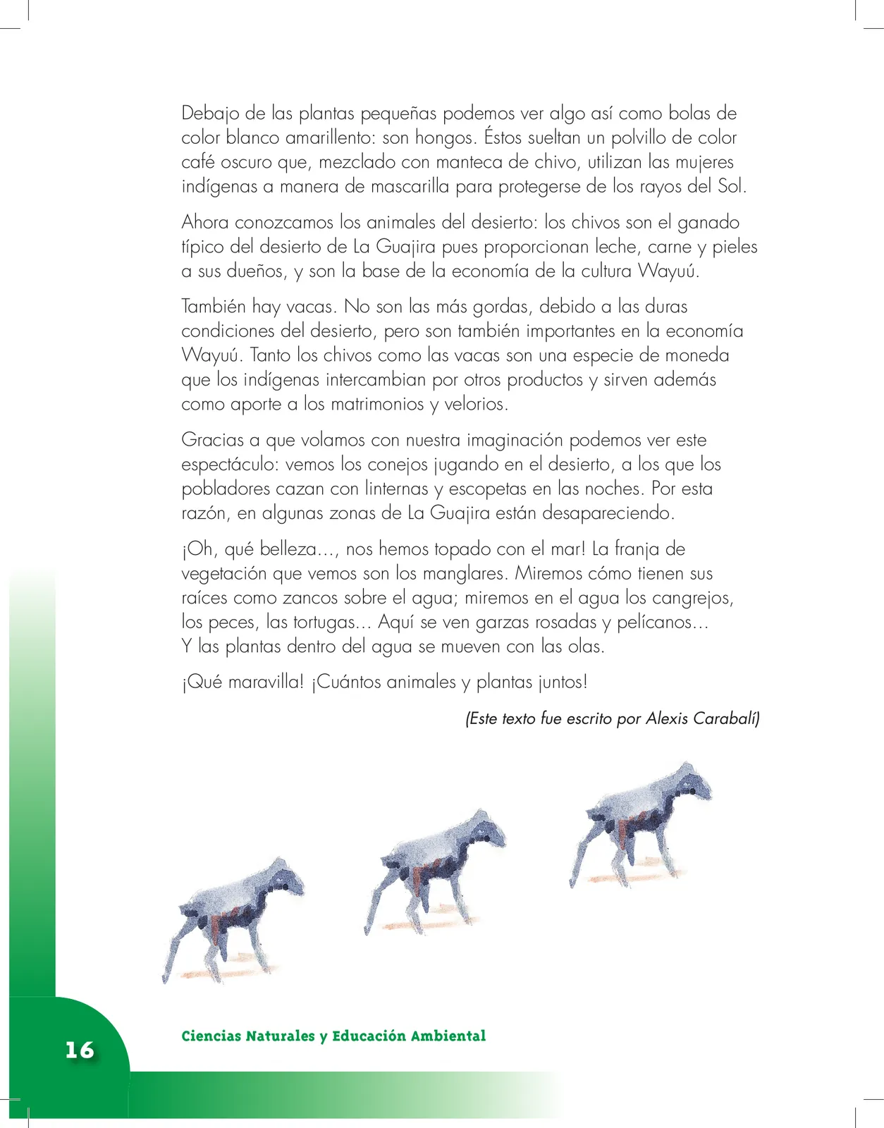 Página 16 de Ciencias Naturales 3° · Cartilla 01