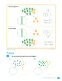 Miniatura página 119 de Matemática – Primero Básico | Texto del Estudiante MINEDUC – Descargar PDF · 2024