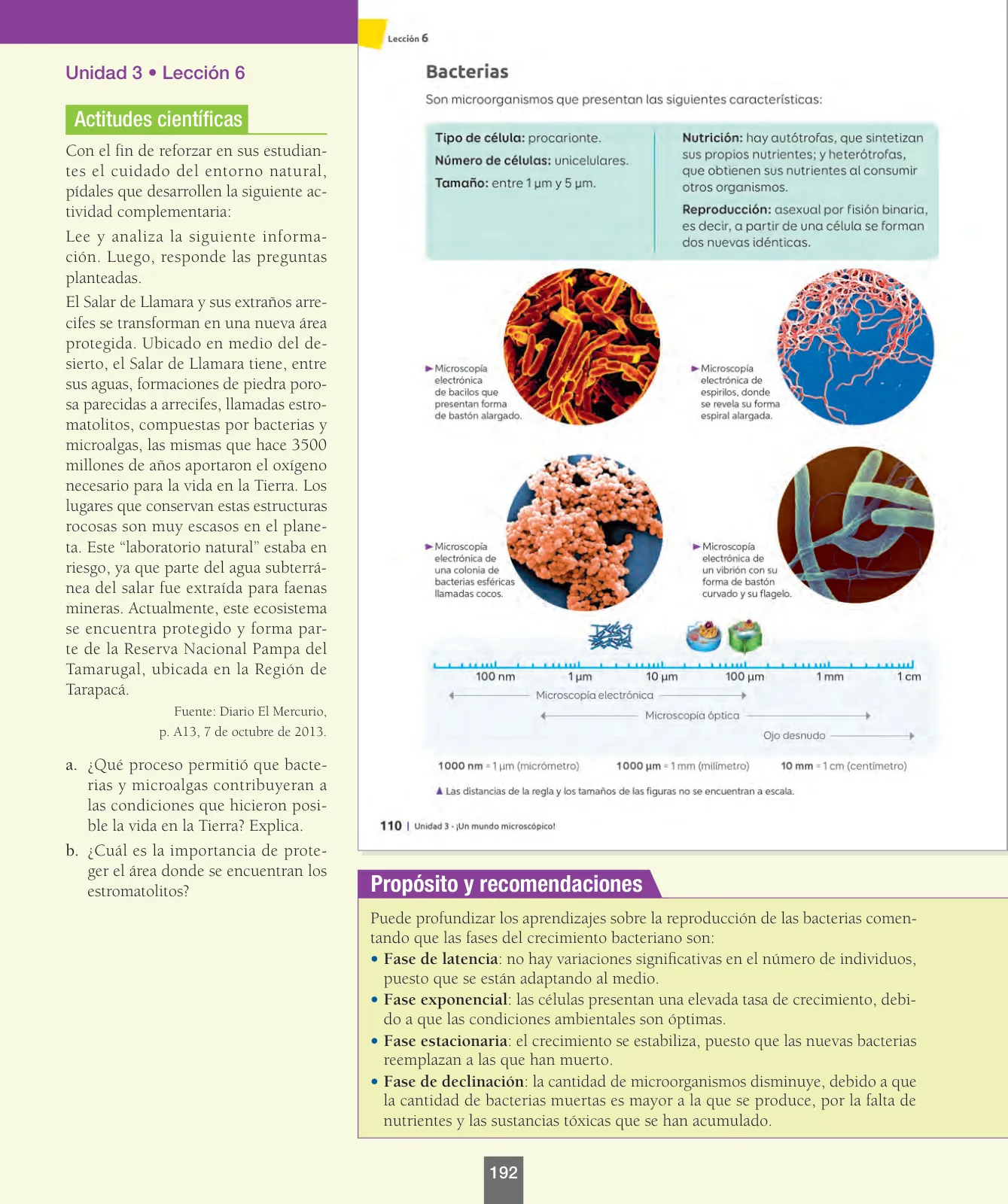 Miniatura página 17 de Ciencias Naturales – Séptimo Básico | Texto del Estudiante MINEDUC – Descargar PDF · 2024