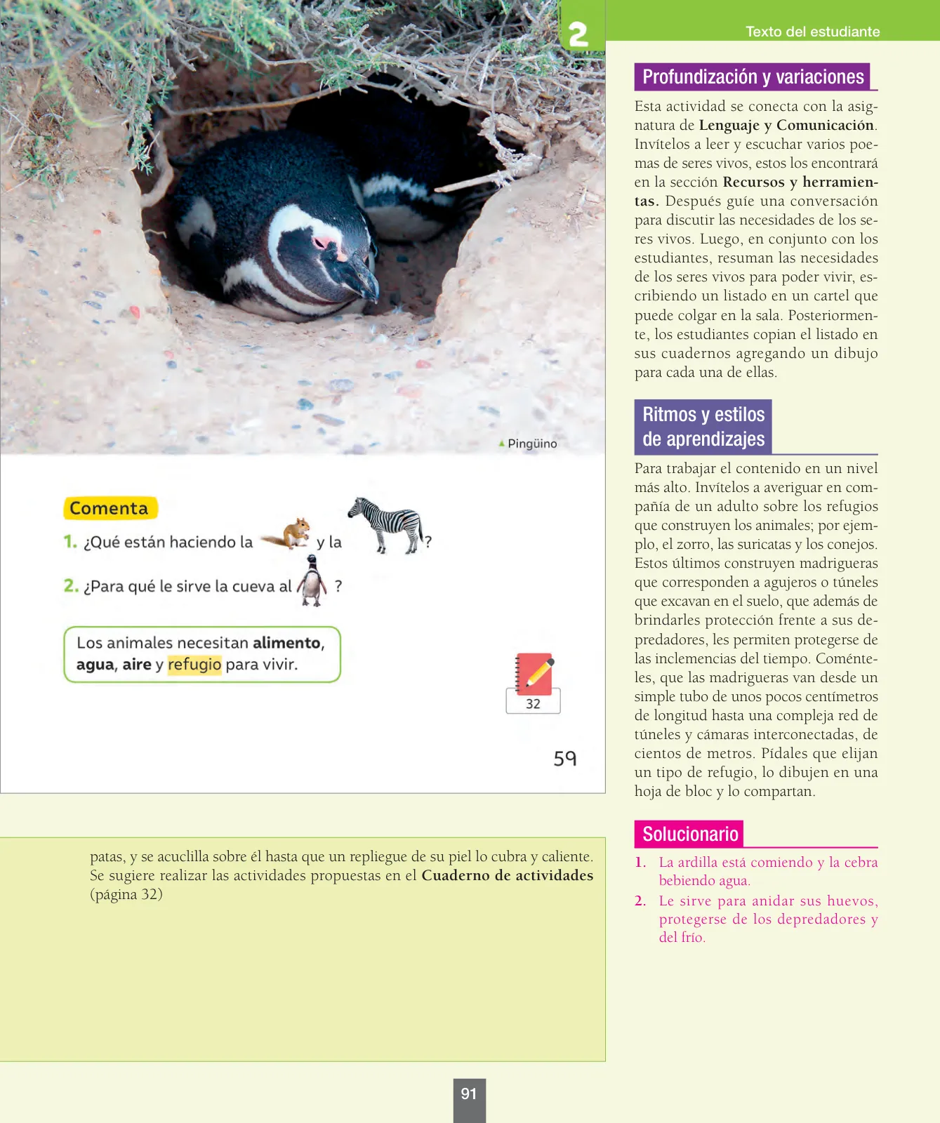 Página 92 de Ciencias Naturales – Primero Básico | Texto del Estudiante (MINEDUC) – Descargar PDF · 2024