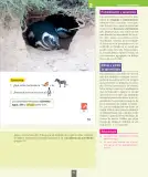 Miniatura página 92 de Ciencias Naturales – Primero Básico | Texto del Estudiante (MINEDUC) – Descargar PDF · 2024
