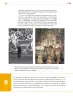 Miniatura página 236 de Colección Sk´asolil. Lenguajes.   Libro de Educación Secundaria Grado 2°  Ciclo Escolar 2025 - 2026