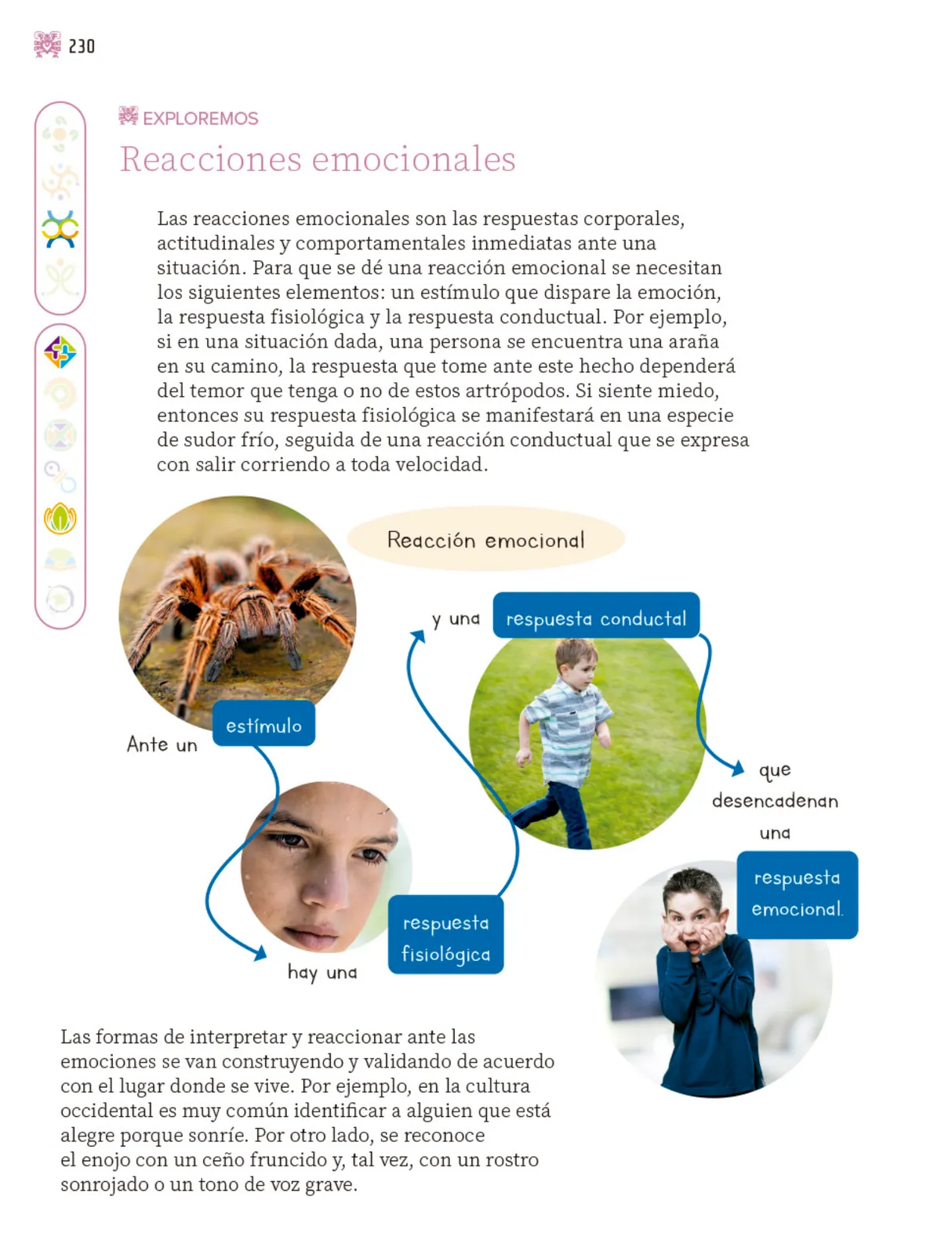 Miniatura página 231 de Nuestros saberes: Libro para alumnos, maestros y familia.   Libro de Educación Primaria Grado 3°  Ciclo Escolar 2025 - 2026