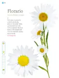 Miniatura página 171 de Múltiples lenguajes.   Libro de Educación Primaria Grado 1°  Ciclo Escolar 2025 - 2026