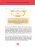 Miniatura página 12 de Orientaciones para la elaboración de situaciones en Matemática · 2024