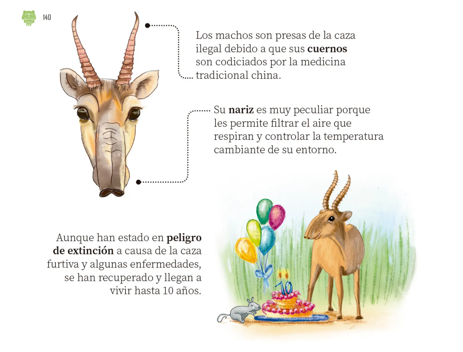Página 141 de Múltiples lenguajes. Libro de Educación Preescolar Grado 2° Ciclo Escolar 2025 - 2026
