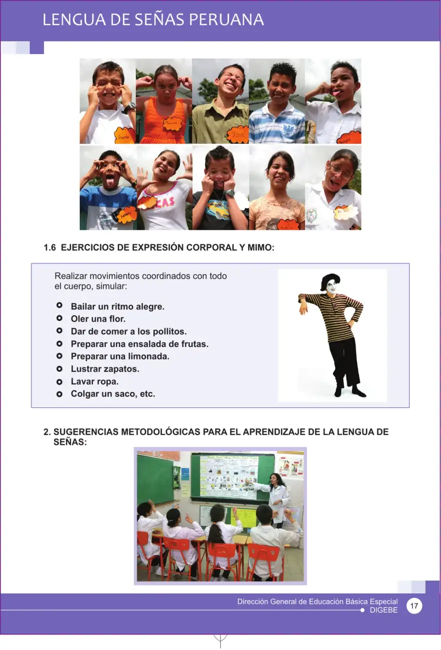 Página 17