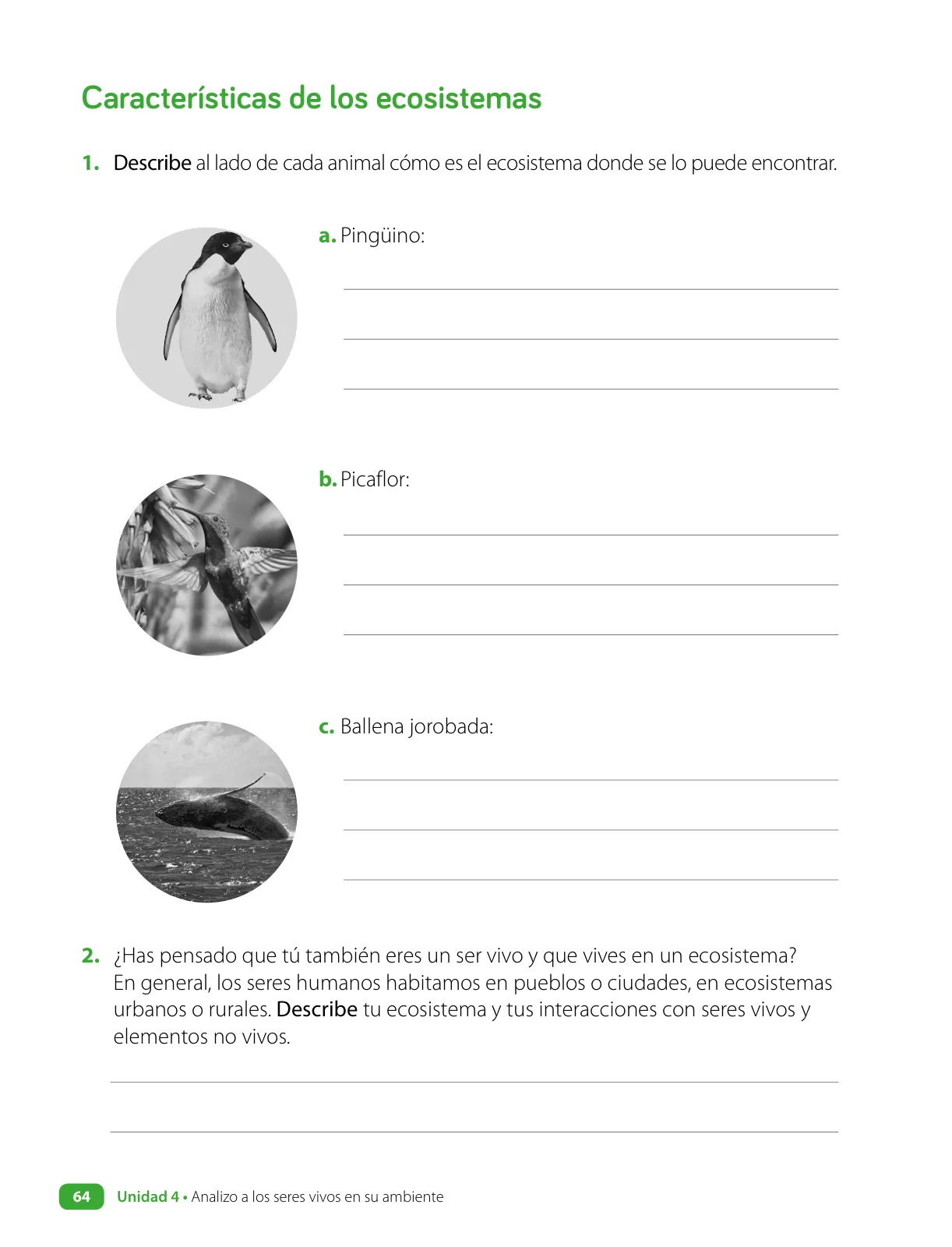 Miniatura página 66 de Ciencias Naturales – Cuarto Básico | Texto del Estudiante MINEDUC – Descargar PDF · 2024