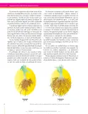 Miniatura página 72 de Ciencias Naturales 9° · Secundaria Activa