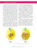 Miniatura página 72 de Ciencias Naturales 9° · Secundaria Activa