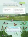 Miniatura página 40 de Libro de Ciencias Naturales – Quinto Básico | Texto del Estudiante MINEDUC – Descargar PDF · 2024